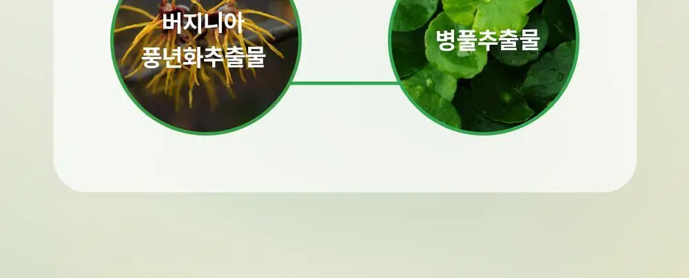 [화잘먹패드] 야다 선인장 토너패드 (본품 60매+10매 추가 증정) 상세페이지 17